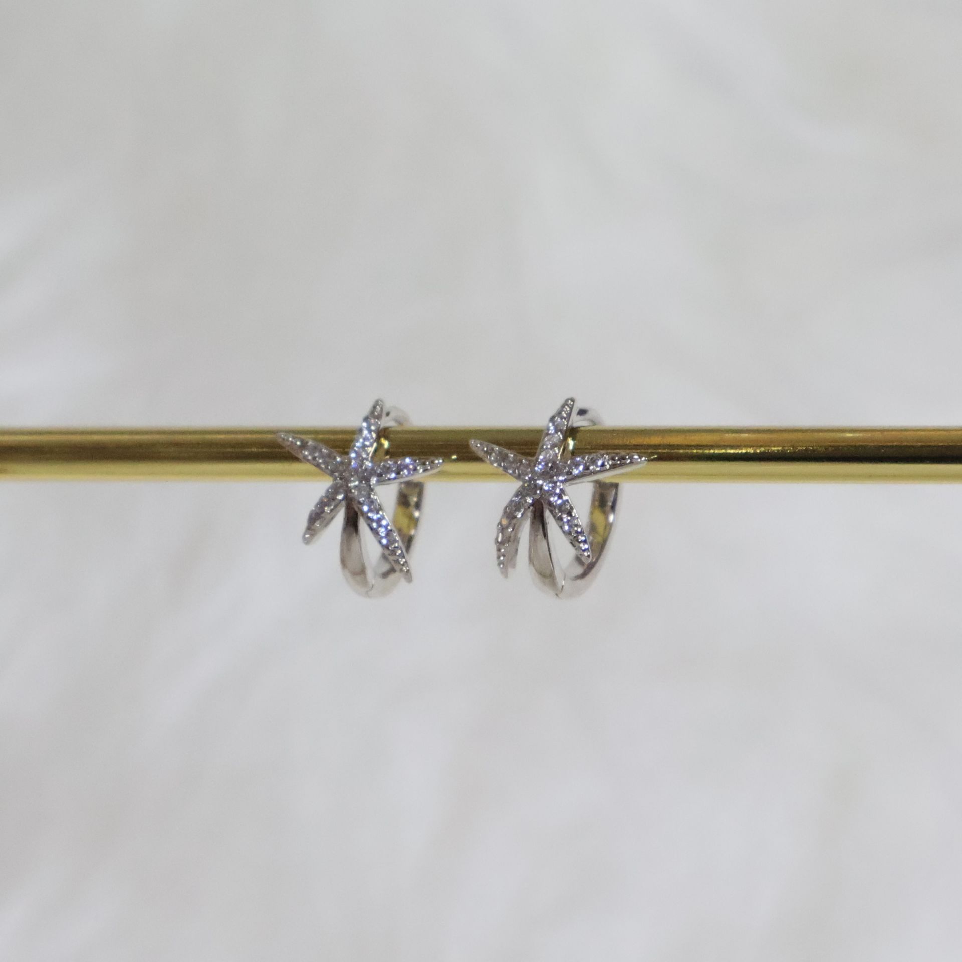 Deniz Yıldızı Küpe