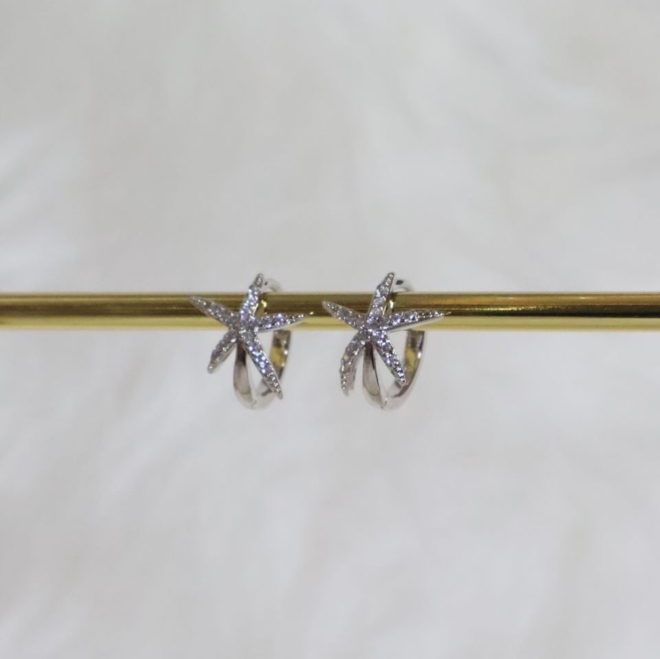 Deniz Yıldızı Küpe