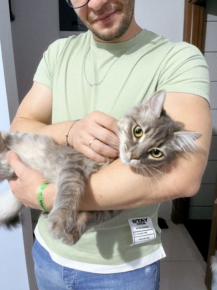 Yuumi Yüzük